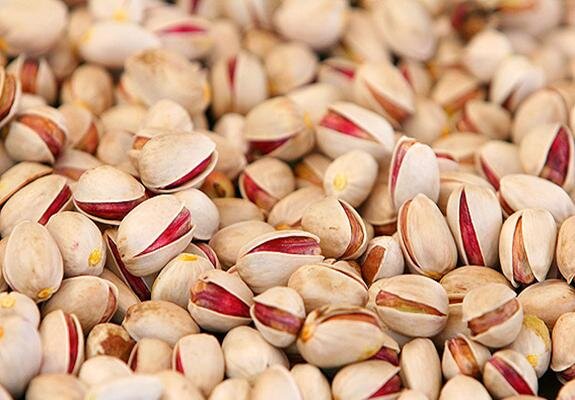 طلای سبز رفسنجان در محاصره خشکسالی و تغییرات اقلیمی
