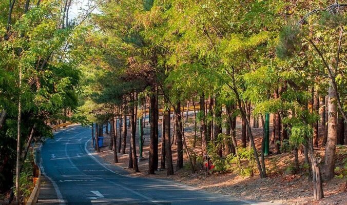 پارک‌ها و فضای سبز تهران؛ بهترین مکان‌ها برای استراحت و تفریح