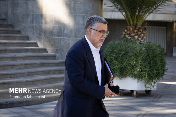 ظفرقندی: نرخ ارز باید در تکلیف بیمهها دیده شود