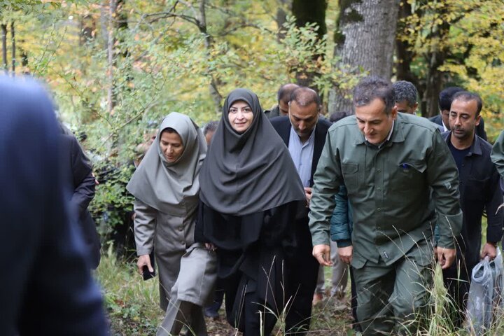 پروژه تقویت جمعیت مرال ایرانی در جنگل کلید خورد پروژه تقویت جمعیت مرال ایرانی در جنگل کلید خورد