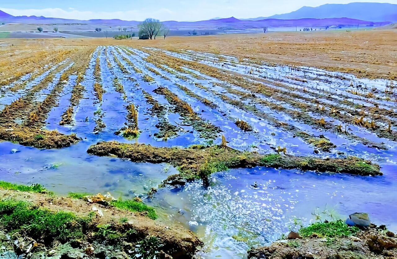 پساب،كشاورزي،اقدام،مهر،مسئولان،آب،مثمر،درختان،تهديد،محصولات، ...