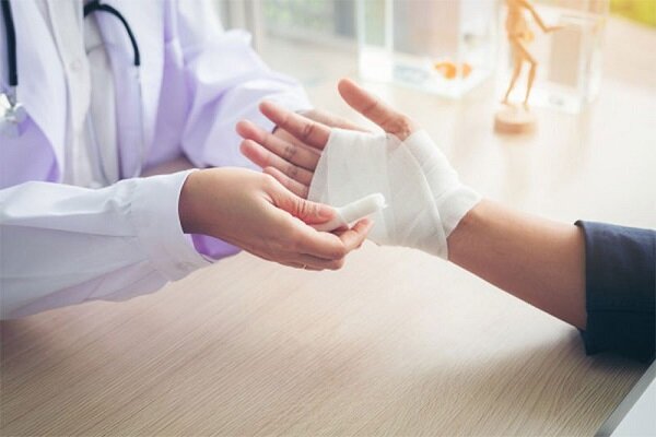 پوسته میگو به محصول فناورانه «ترمیم زخم» تبدیل شد