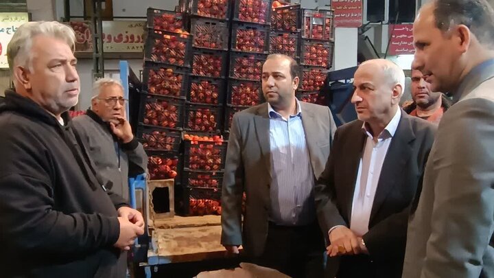 قیمت گوجه فرنگی تا آخر هفته به تعادل میرسد