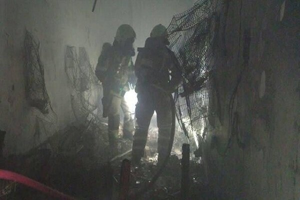 نجات ۳۰ نفر از آتشسوزی در یک پرندهفروشی