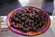 ممنوعیت صادرات خرما لغو شد