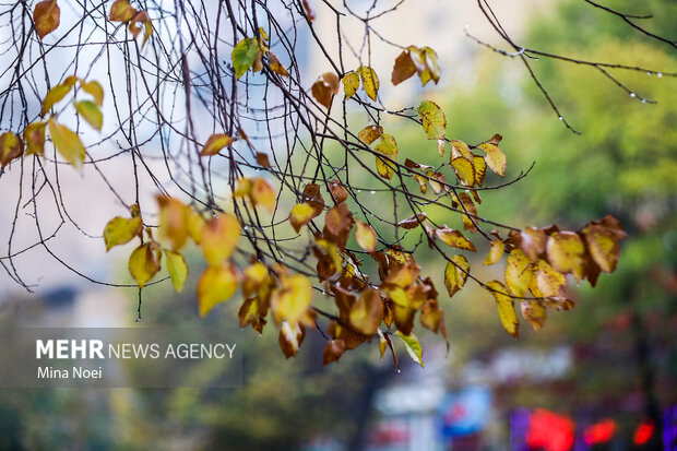 منابع آبی دومین استان پرآب کشور در وضعیت قرمز؛کاهش ۳۰ درصدی بارش ها