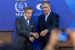 AEOI chief holds joint presser with IAEA chief Grossi