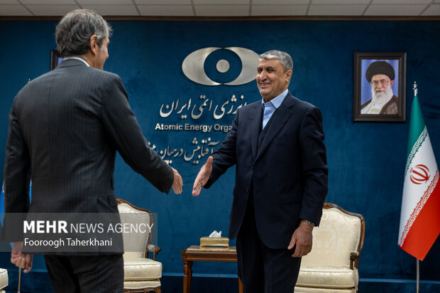 نشست خبری مشترک رئیس سازمان انرژی اتمی و مدیر کل آژانس بین المللی