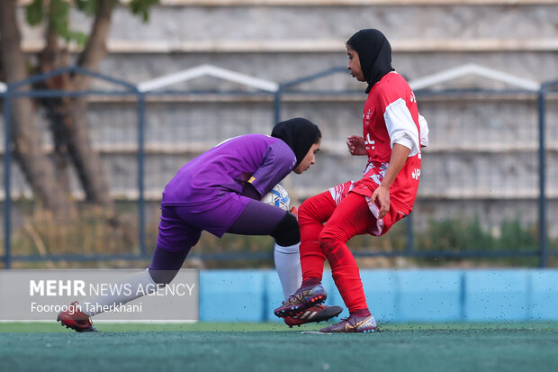 دیدار پرسپولیس با مهرگان پردیس