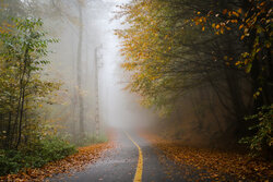 Foggy autumn in heights of Golestan province