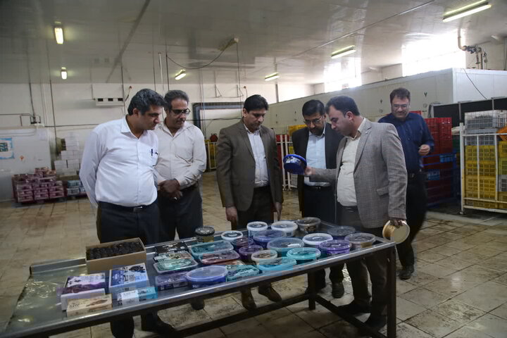 صادرات خرما در تنگستان حمایت می شود صادرات خرما در تنگستان حمایت می شود