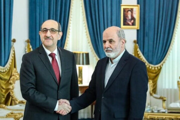 Syria FM, Iran security chief discuss regional affairs in Tehran meeting