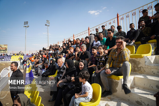 مسابقات کشوری زیبایی اسب اصیل در فارس