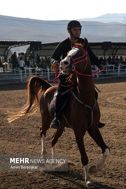 at yarışı