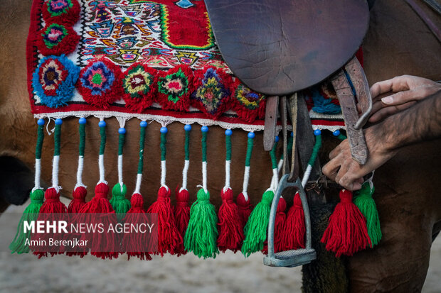 مسابقات کشوری زیبایی اسب اصیل در فارس