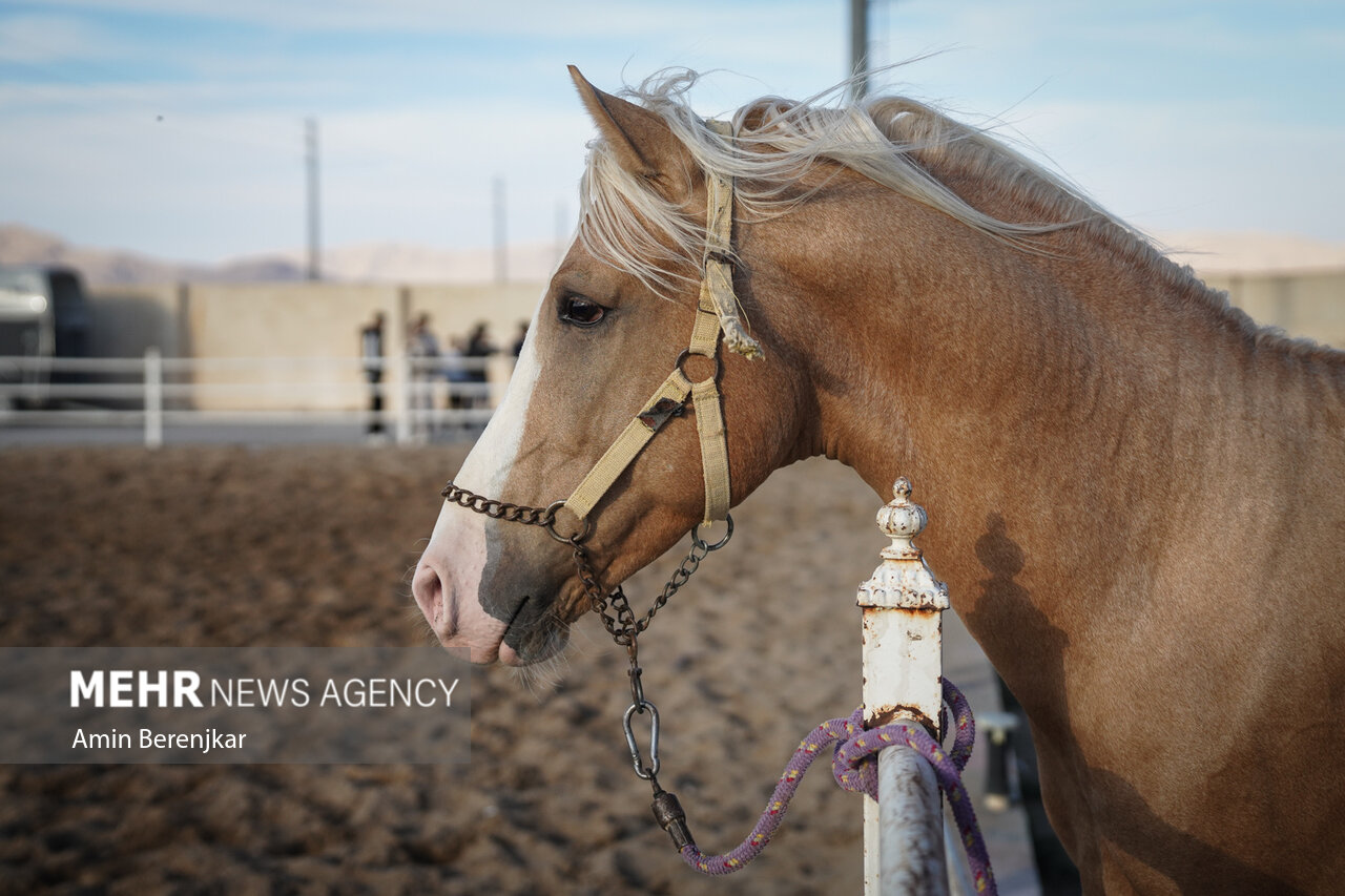 چالشهای پیش روی خراسان شمالی در عرصه سرمایهگذاری