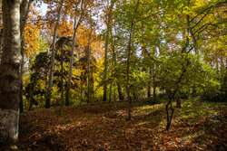 Picturesque Autumn in Tehran