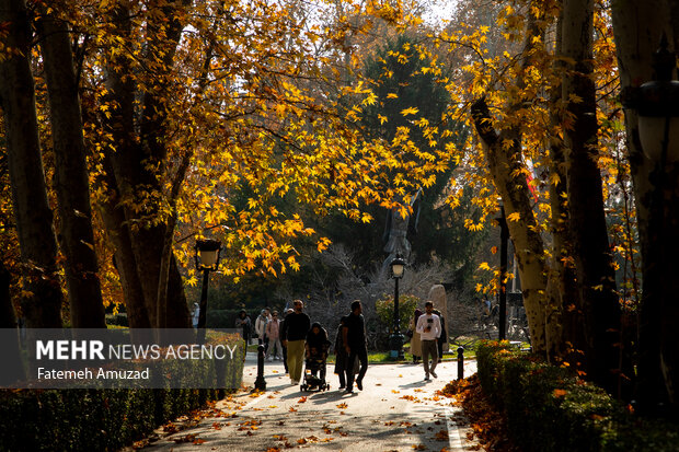 پاییز در تهران