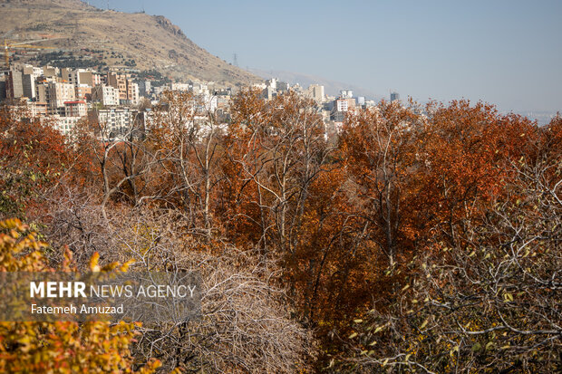 پاییز در تهران