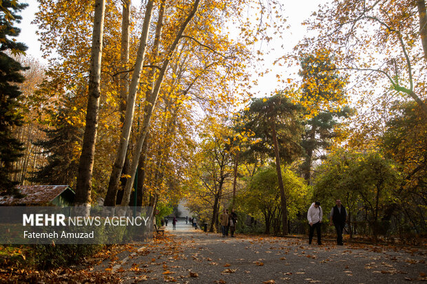 پاییز در تهران