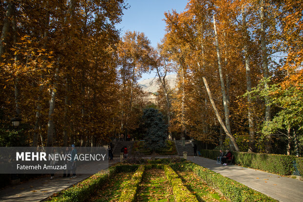 پاییز در تهران