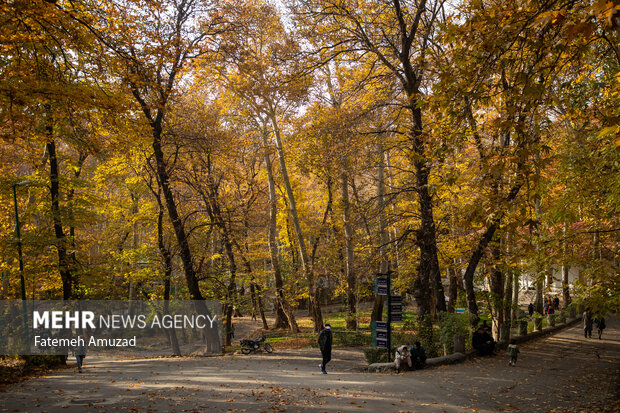 پاییز در تهران