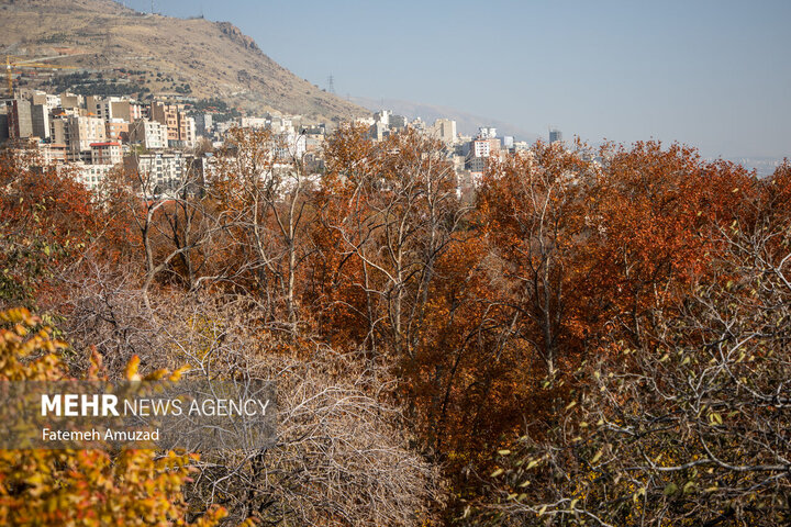 Tahran'dan sonbahar manzaraları