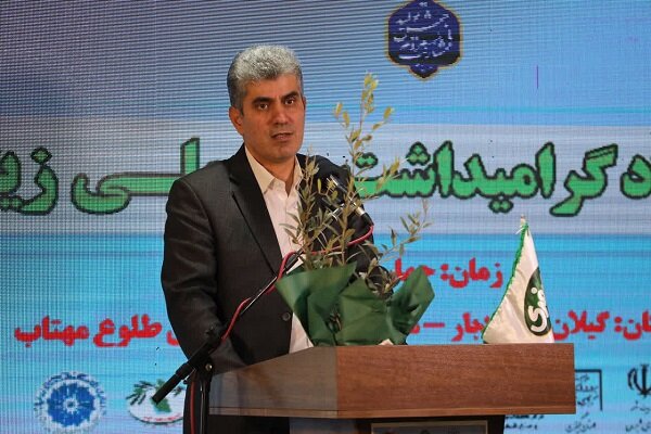رونق اقتصاد زیتون در جنوب گیلان با جذب سرمایه گذاری محقق میشود