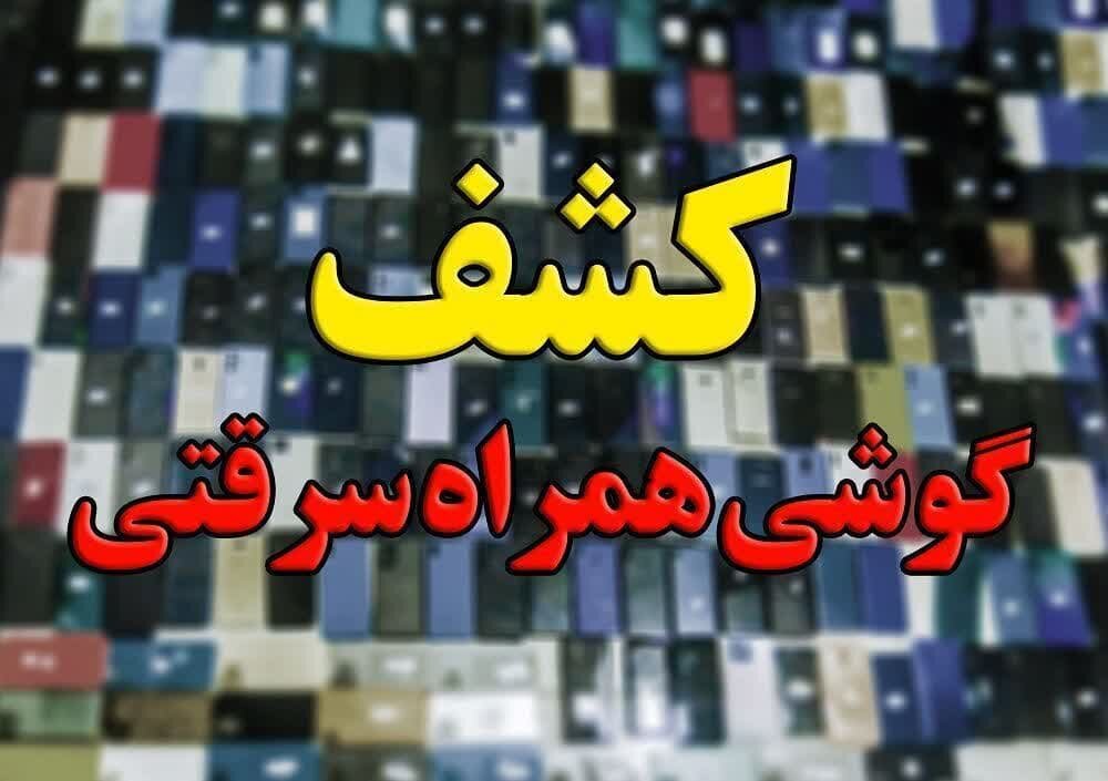 سرقتي،مرزبانان،گوشي،قاچاقچيان،كشف،كشور