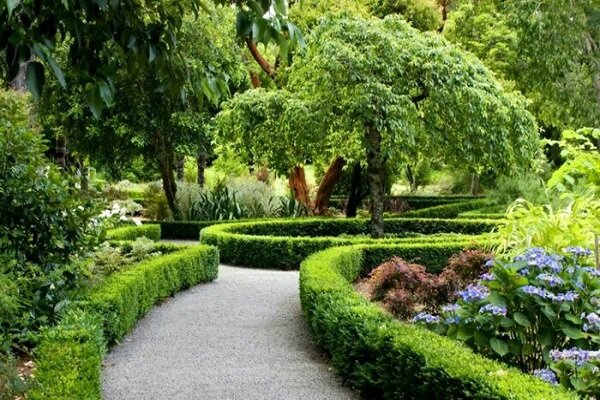 حضور در فضاهای سبز باعث رشد بهتر مغز کودکان میشود