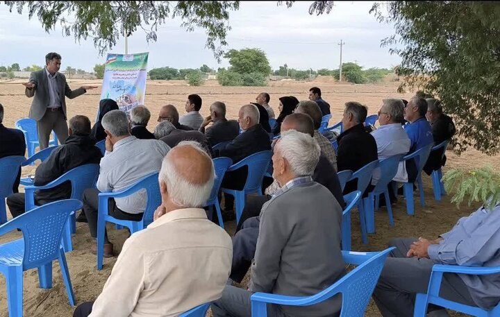 طرح جهش تولید در دیمزارهای بوشهر اجرا شد طرح جهش تولید در دیمزارهای بوشهر اجرا شد