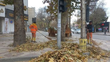 برگ‌های پاییزی بجنورد قبل از بارش باران جمع‌آوری شد