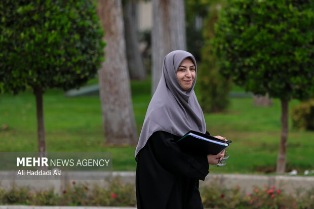 انصاری: ۲۷ پروژه برای احیای دریاچه ارومیه تعریف شده است