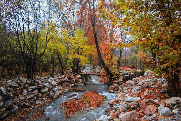 رویداد عکاسی «پاییز هزار رنگ» در شهر صحنه برگزار میشود