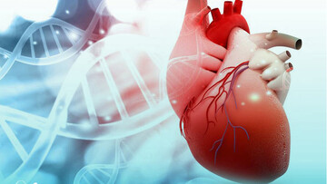 خطر دو برابری بیماری قلبی و سرطان سینه در زنان مسن چاق