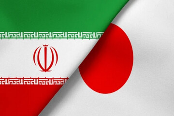 Japan to help Iran resolve differences with FATF: Official