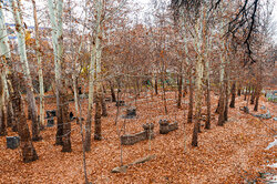 هوای مشهد پاک است