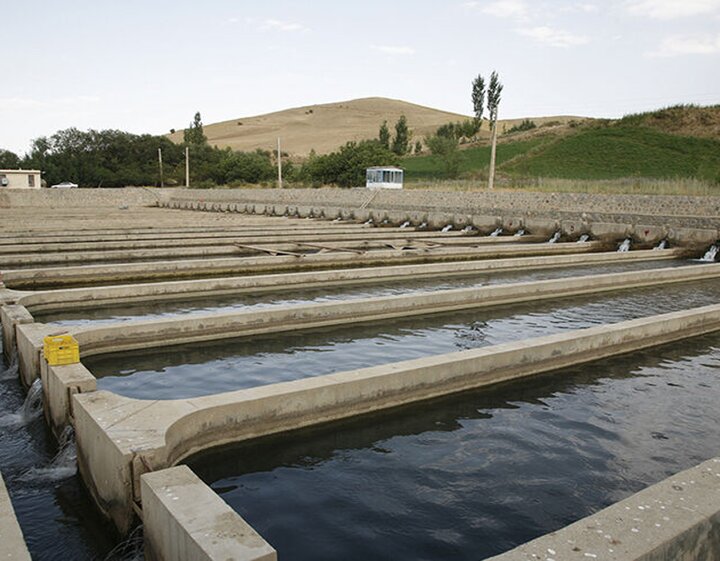 نقش صنایع تبدیلی برای تکمیل مزارع پرورش ماهی در جوار«قزلاوزن» نقش صنایع تبدیلی برای تکمیل مزارع پرورش ماهی در جوار«قزلاوزن»