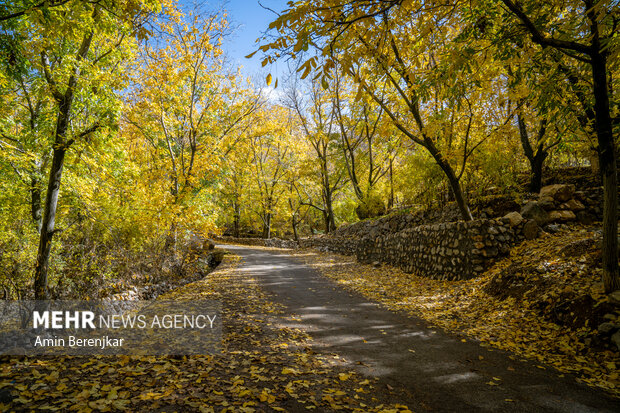 پاییز، لابلای درختان گردوی روستای دشتک