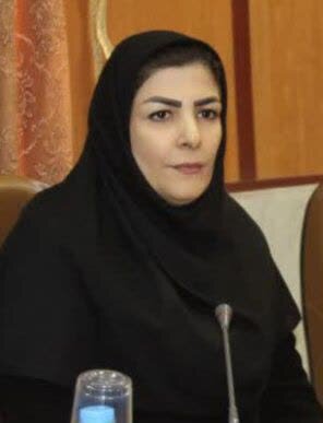 رئیس هیئت انجمن ورزشهای رزمی لرستان انتخاب شد