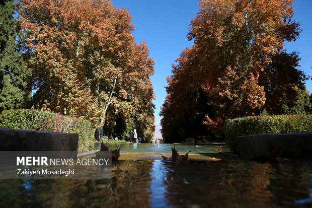 İran'da cennet parçası bir bahçe; Şehzade Mahan