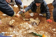 تفحص و کشف پیکر مطهر ۲ شهید دفاع مقدس در منطقه عملیاتی چیلات ایلام