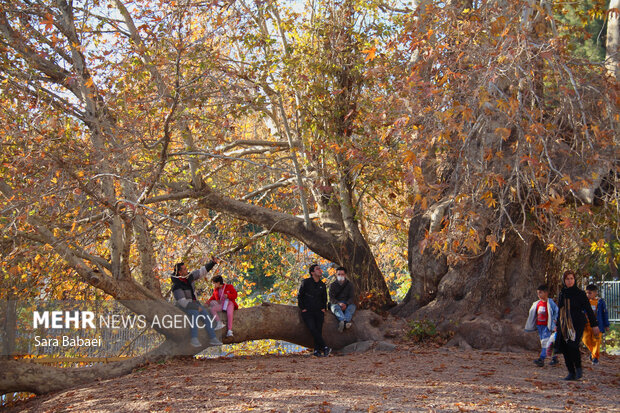 از بیستون تا طاق بستان؛ کرمانشاه در مسیر تبدیل به قطب گردشگری غرب کشور