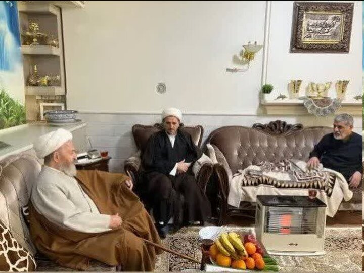 آیتالله سبحانی از حجت الاسلام ناصر رفیعی عیادت کرد