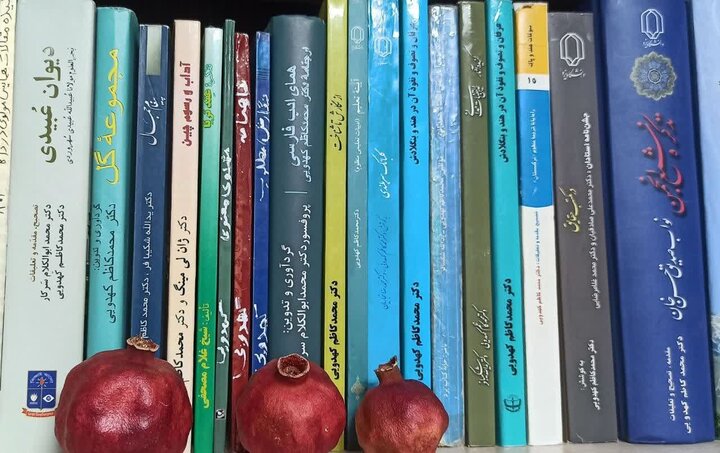 شیرینی قند پارسی در داکا، شانگهای، دهلی و کابل؛ چگونگی زندگی دانشجویان خارجی که فارسی می آموزند 2