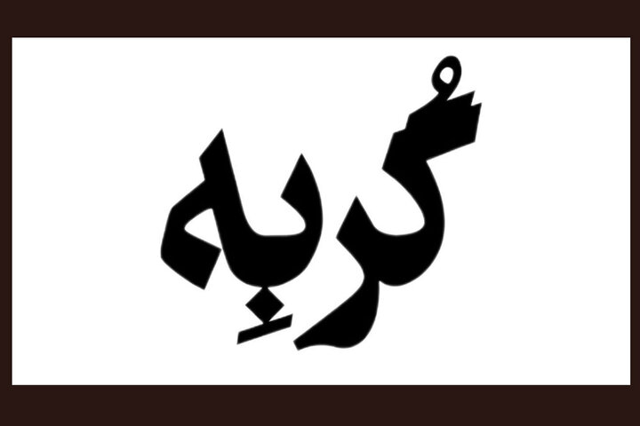 «گربه» روی صحنه خانهنمایش دا میرود