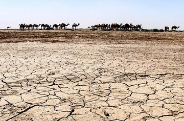 جازموریان؛ از زیست بوم حیات تا کانون بحران