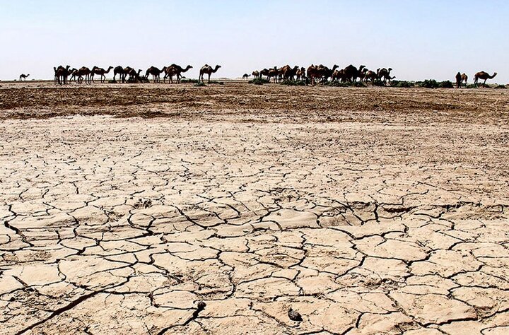 لزوم احیای تالاب جازموریان؛ بستر حوضه آبی تبدیل به کانون گردوغبار شد