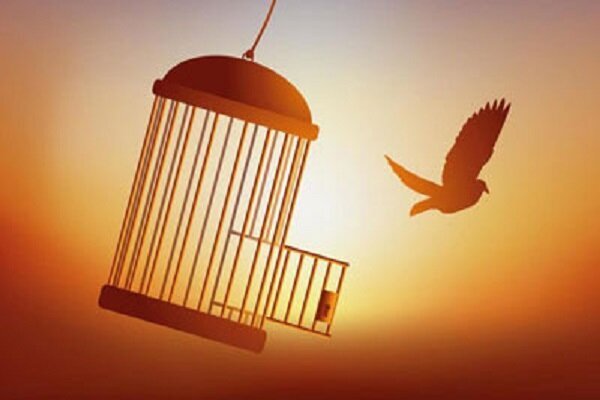 رهایی 9 زندانی محکوم به قصاص از ابتدای امسال در استان هرمزگان