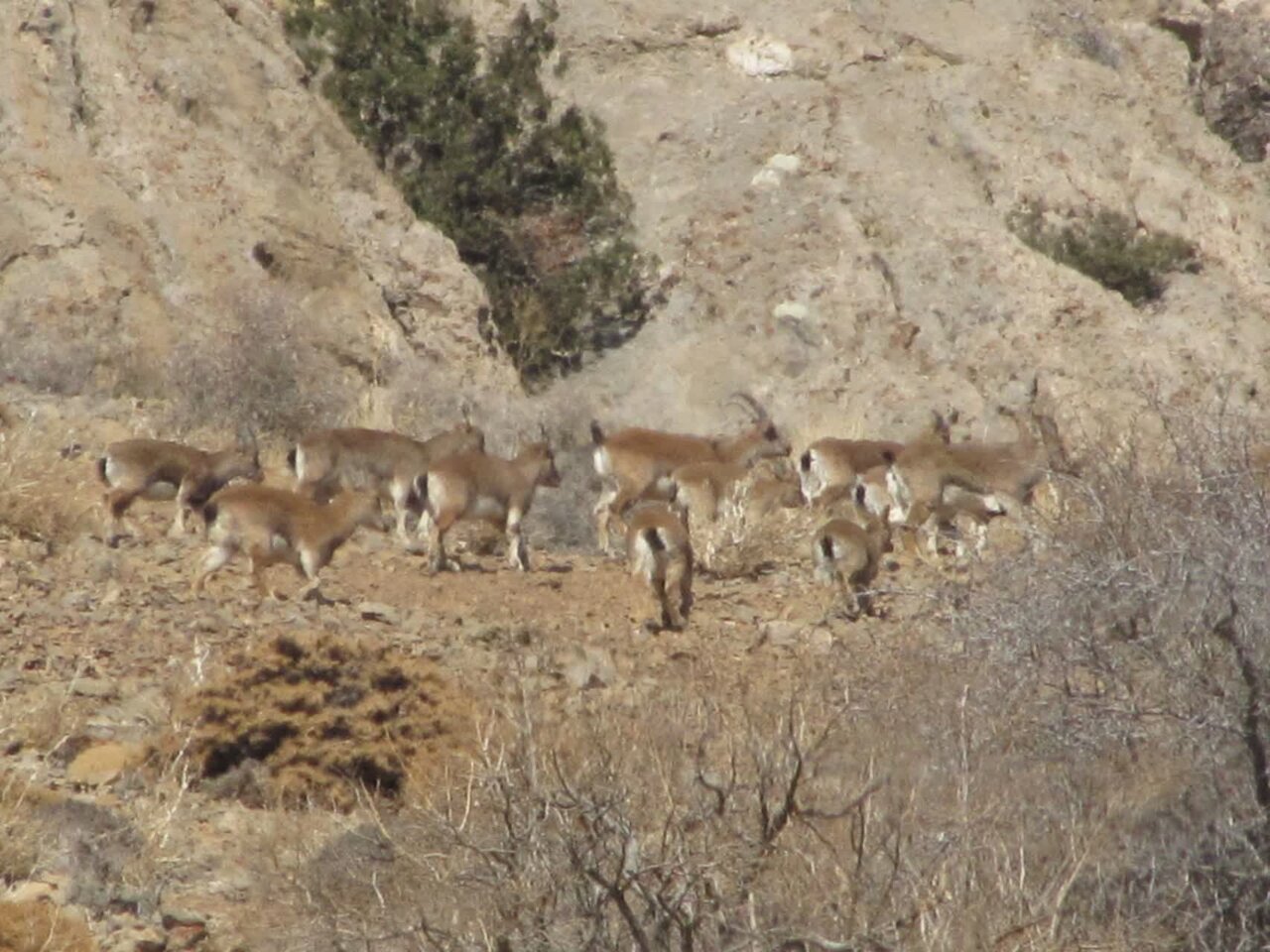 چگونگی جبران خسارت ناشی از حمله به محیط زیست در جنگ